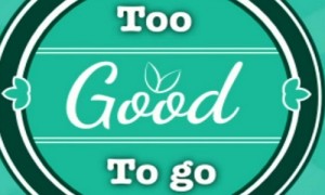application mobile too good to go